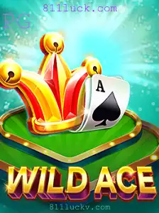Explorando o Jogo WildAce: Descrição, Introdução e Regras